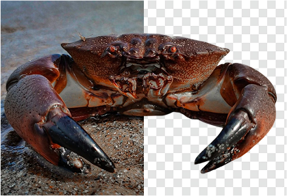 Example 5